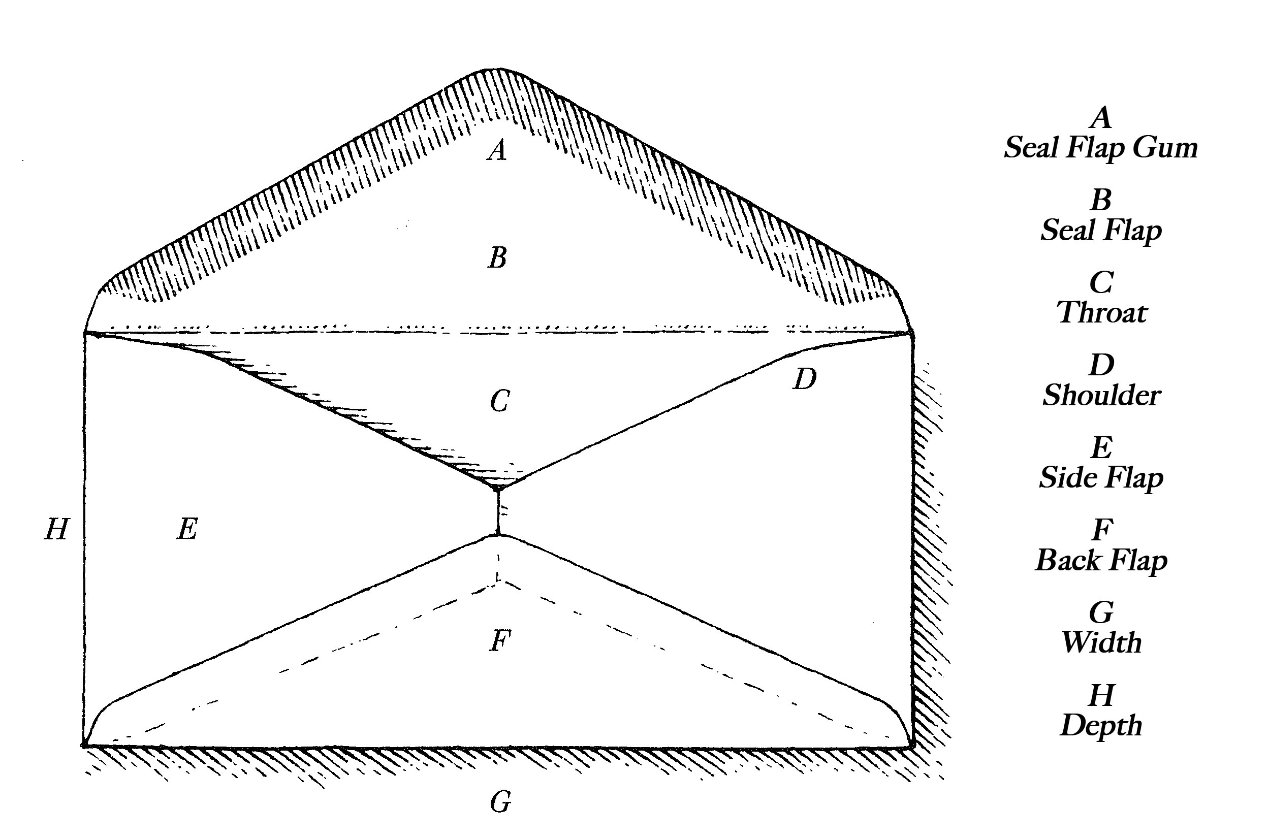 BaddeleyBrothers anatomyenvelope title