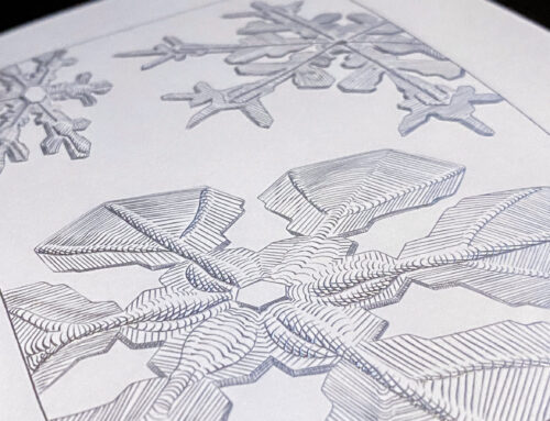 Ibrahim’s snowflake engraving melts the heart of HEA judges